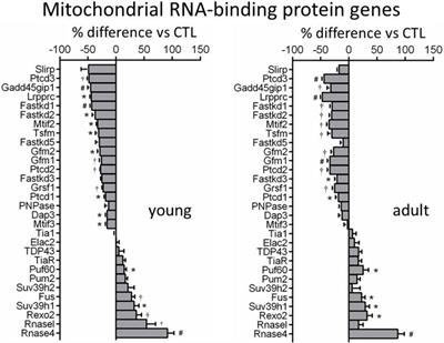 Transcriptomic Analysis of Dysregulated Genes of the nDNA-mtDNA Axis in a Mouse Model of Dilated Cardiomyopathy